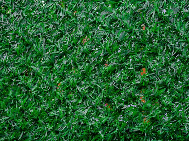 Artificial turf in Springfield area, MO