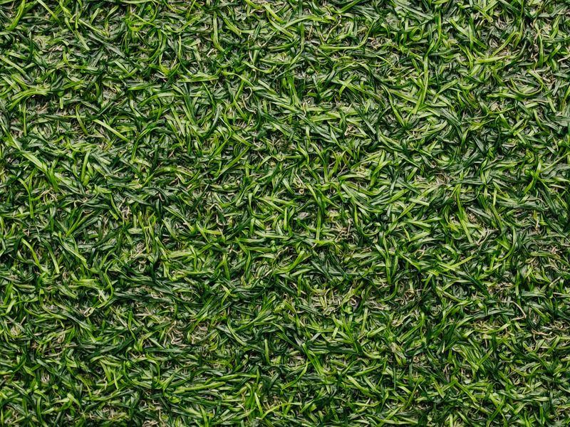 Artificial turf job in the Fremont Hills neighborhood of Springfield
