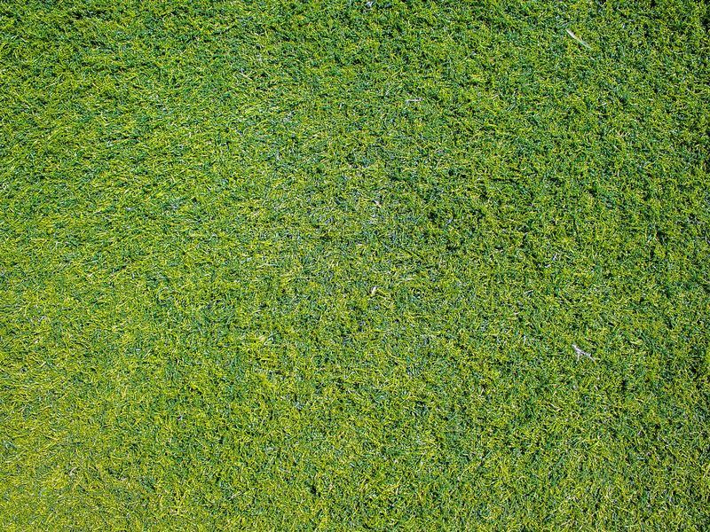 Artificial turf job near Marshfield, MO